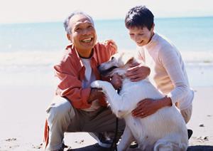 のびのびとした環境の老犬ホーム