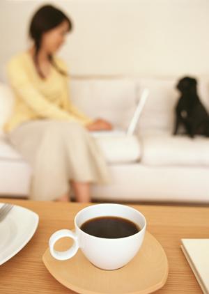 ビションのブリーダーを紹介します