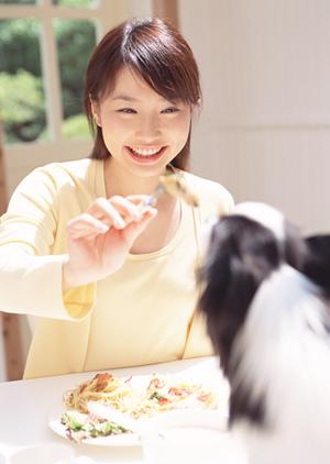 横須賀の動物病院でワクチン接種をしよう